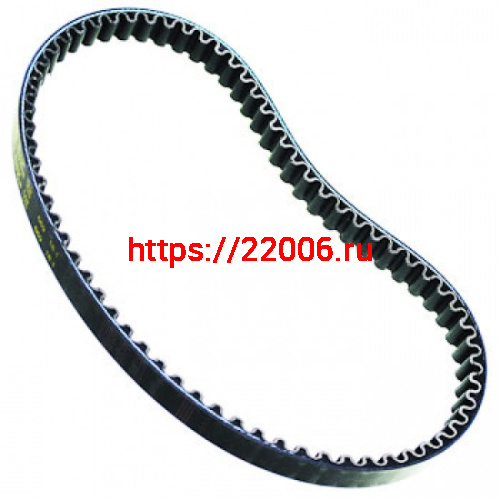 Ремень вариатора 800-16 Ремень вариатора 800-16